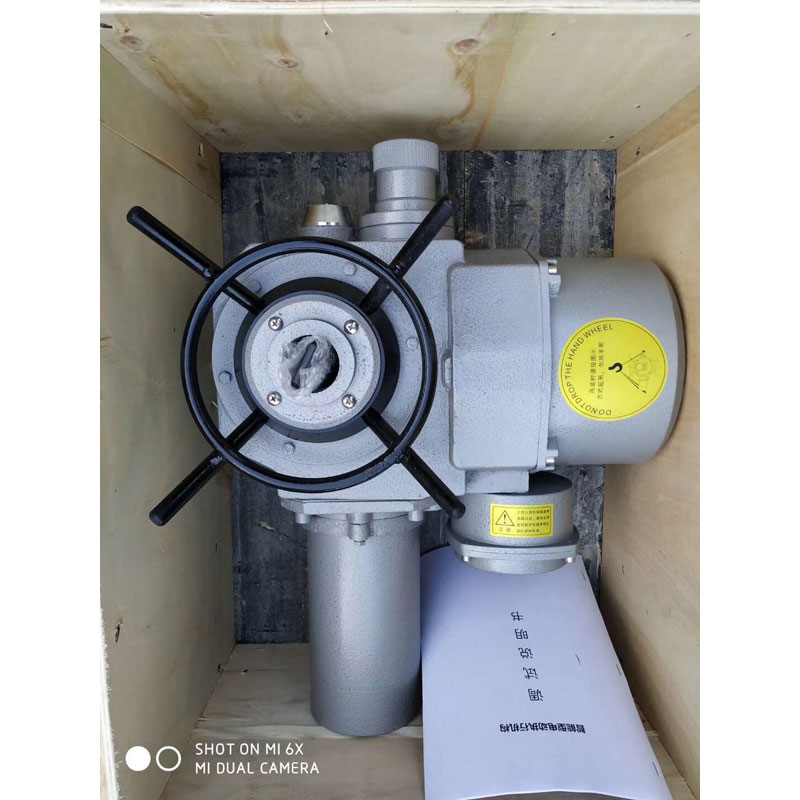 電動(dòng)頭螺旋桿啟閉機